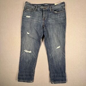 Ann Taylor Loft Boyfriend Jeans 30/10P Blue Stretch Distressed Button Fly New
